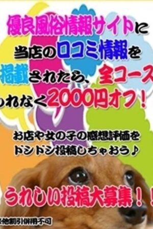 超お得！！2000円OFF♪